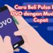 Cara Mudah Login OVO secara Cepat